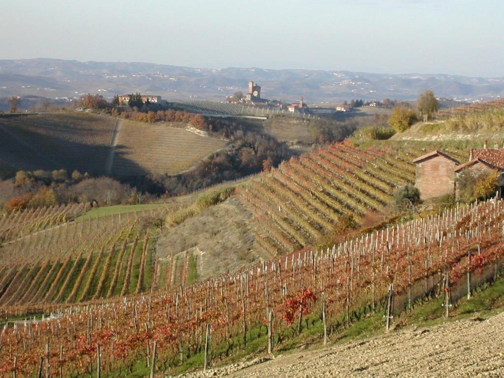 시니오 Cascina Il Ginepro 게스트하우스 외부 사진