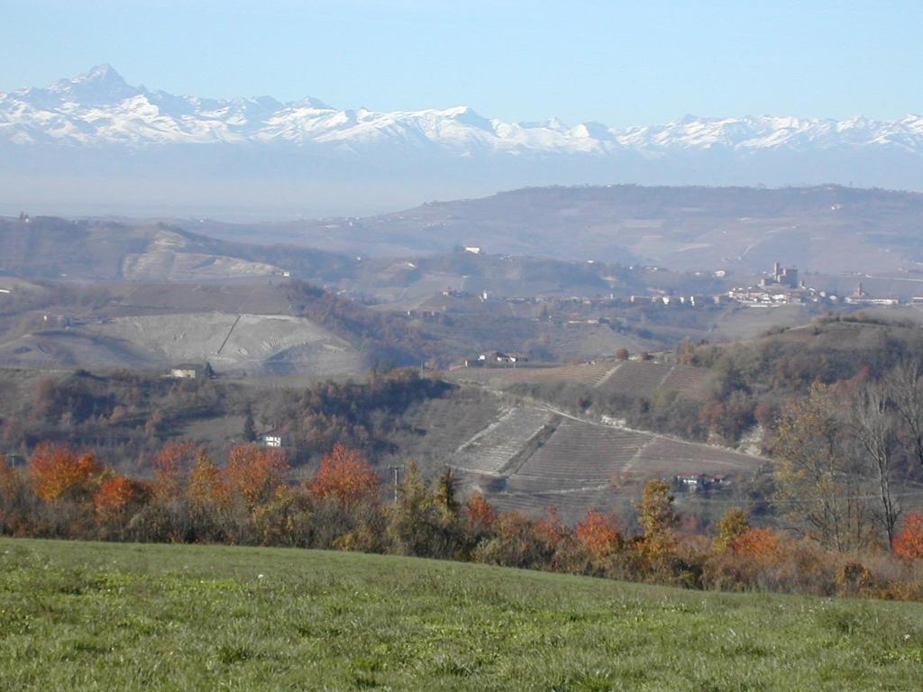 시니오 Cascina Il Ginepro 게스트하우스 외부 사진